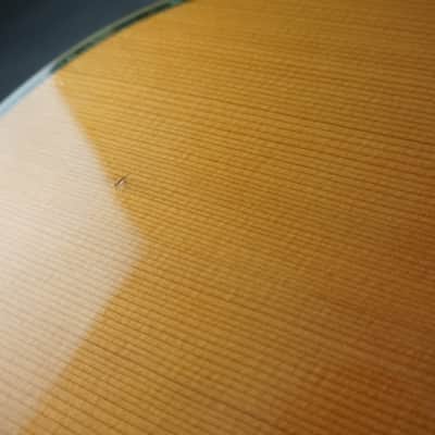 Immagine Morris B-60 MIJ 12-String Acoustic w/ 3-Piece Rosewood Back w/ OHSC - 8