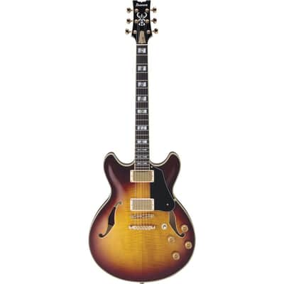 Ibanez John Scofield Signature JSM100 Hollow-Body Electric Guitar, Bound Ebony Fretboard, Vintage Sunburst image 17