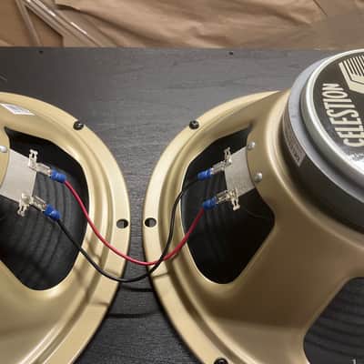 Supro 1688T Big Star 25-Watt 2x12 Titan Extension cabinet image 4