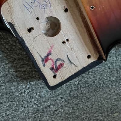 Fender Player Plus Meteora body bass Sunburst image 2