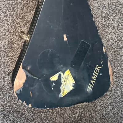 Vintage 1980’s Hamer USA  Guitar hardshell case  for Flying V vector image 1