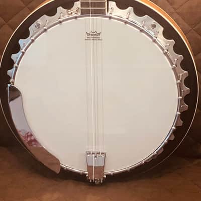 Washburn B10 Americana Series Remo Top Wood Mahogany Neck 5-String Banjo w/Mahogany Resonator image 6