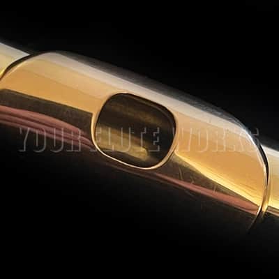William S. Haynes 14k White Gold Flute #53151 with Silver Keys image 2