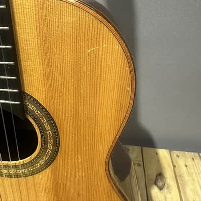 Acoustic Gianni Series Classica Savio 1994 image 2