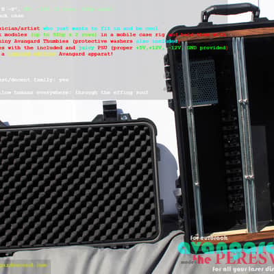 NEW! Avantgarde Sound • The Peresvet • 186hp Fully Powered Eurorack Case w/Wheels! image 10