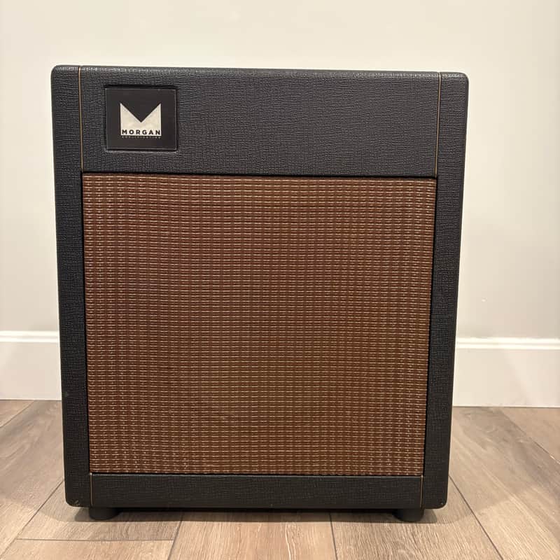 Morgan Amplification PR-12 with Eminence JS-12 Speaker - Vintage Build image 1