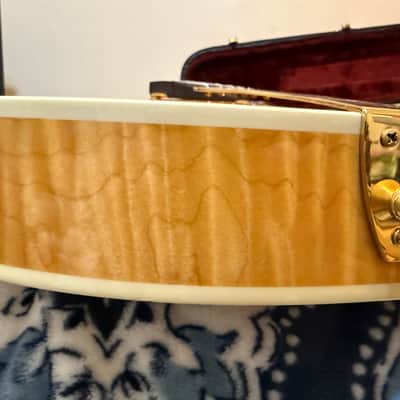 Benedetto Bravo 2005 - Honey Blonde image 14