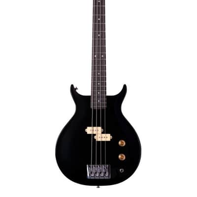 Washburn SB4B | Wing Series Scavenger Electric Bass, Trans Black. New with Full Warranty!