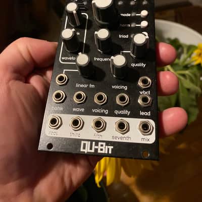 Qu-Bit Electronix Chord v2 2019 - Present - Black image 3