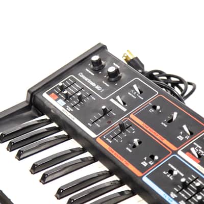 Realistic by Moog Music Concertmate Owned by Nathaniel Rateliff image 7