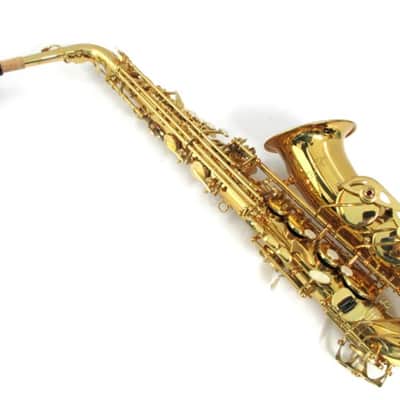 JZ Alto Saxophone Eb Alto Saxophone Outfit w/ Case image 1