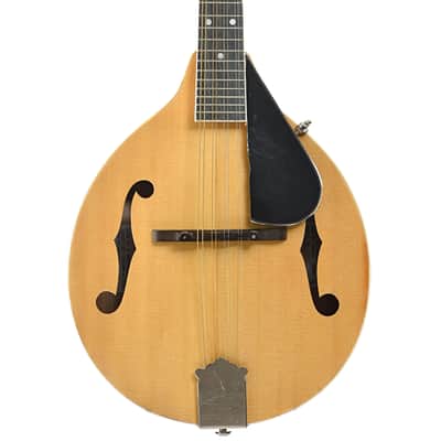 Jordan L. Buck A-Style Kit Mandolin (2024) image 1