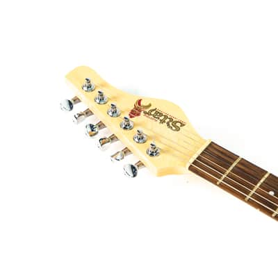 Jerry Jones Electric Sitar Owned by Jay Farrar of Son Volt image 7