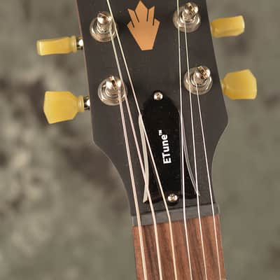 Gibson Les Paul Studio 120th Anniversary With E Tune 2014 Walnut image 3