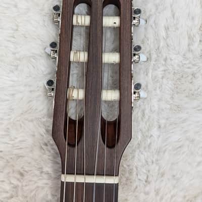 Godin Multiac Encore Nylon String Performance Guitar Semi-Gloss w/Bag image 7