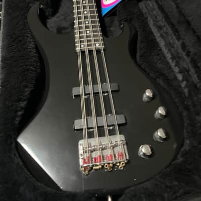 Custom 12-string Bass image 1