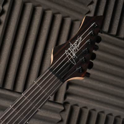 Chapman Ghost Fret Pro - Satin Lunar Grey image 6
