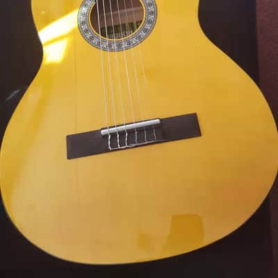 Berkeley Acoustic Classical Guitar w/ 5 Bands Equalizer PreAMP Piezo image 7