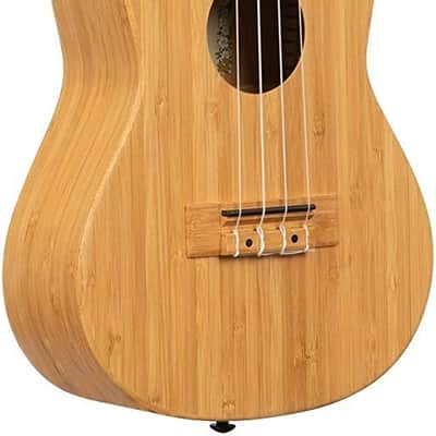 Kala Bamboo Concert Ukulele (KA-BMB-C) image 1