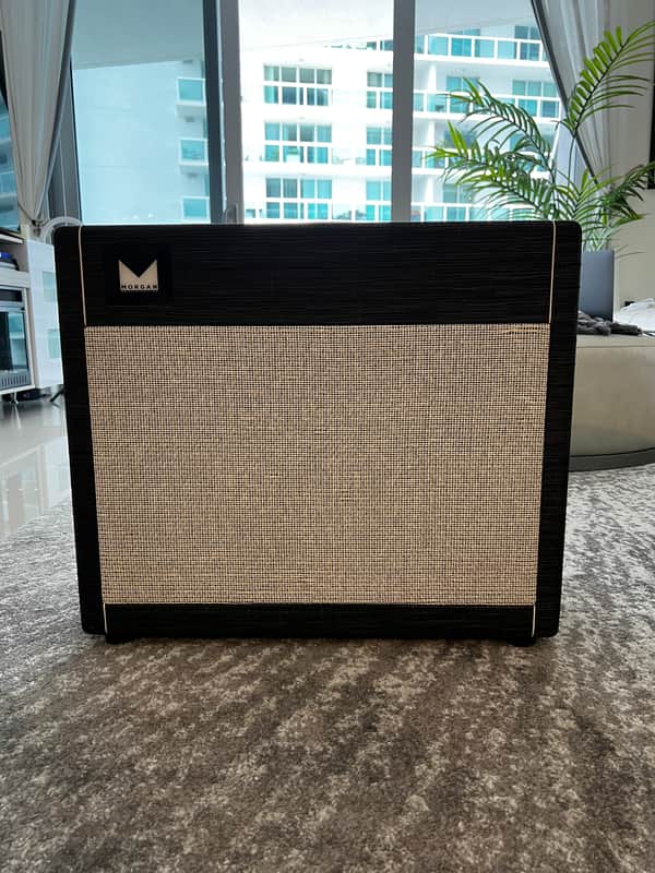 Morgan Amplification 112 CAB-Gold 1x12 Guitar Cab with Celestion Greenback, Twilight Finish image 1