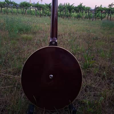 Hoyer 6-String Guitar Banjo (Banjitar) 1970s image 6