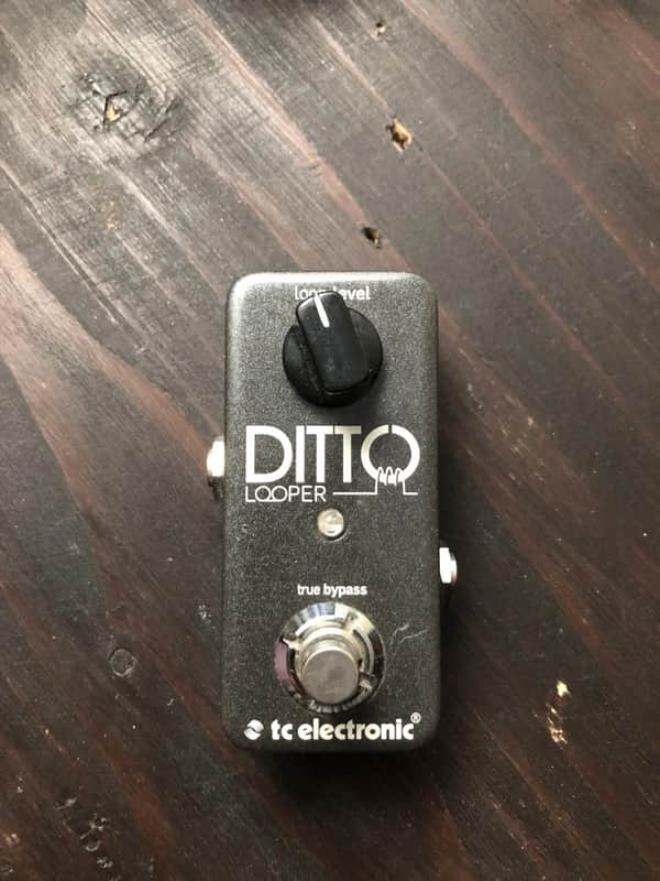 TC Electronic Ditto Looper 2013 - Present - Black image 1