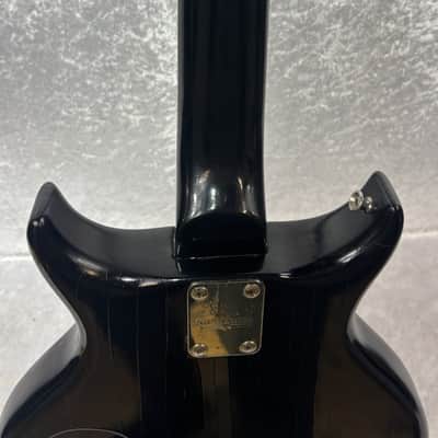 Washburn Raven electric guitar / flaming eagle refinish + Tweed case image 8