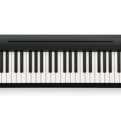 Roland FP-10 88 Key Digital Piano