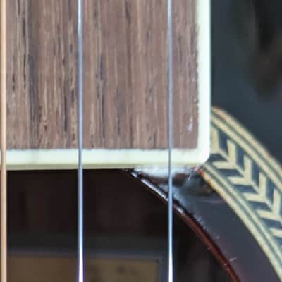 Tagima WS 42 EQ DBS Baby Non-Cutaway Acoustic/Electric Guitar - B stock image 10