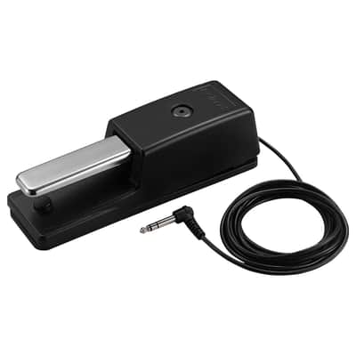 DP-10 Roland image 3
