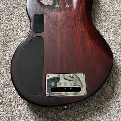 Alien Audio Constellation 5 String Fretless Bass image 3
