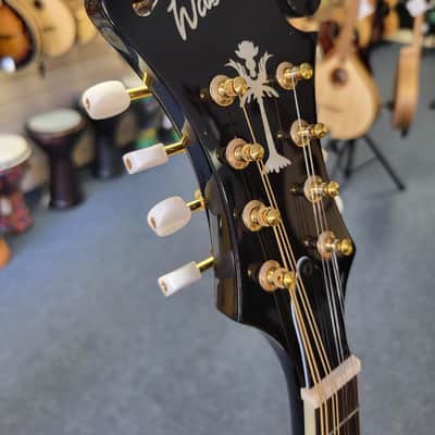 Washburn M1SD A Style Oval Hole Mandolin image 2
