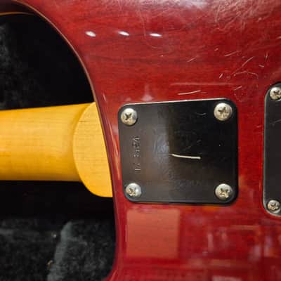 PRS CE 24 Maple Top Tremolo 1991 Tortoise Shell image 5