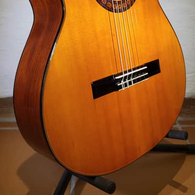 Kasuga G-312 image 16
