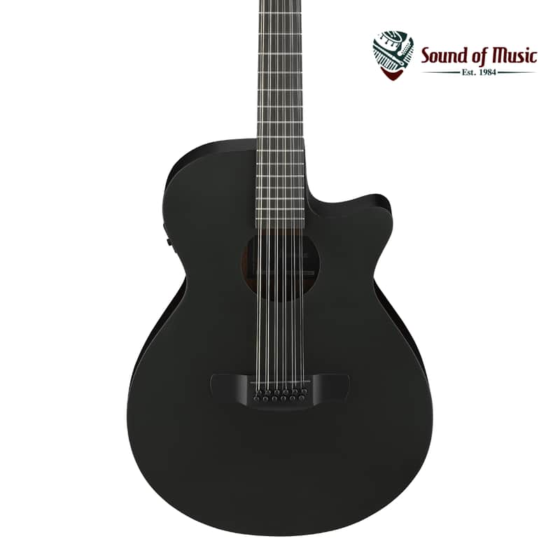 Ibanez AEG1221 12-String Acoustic-Electric Guitar - Black Out image 1