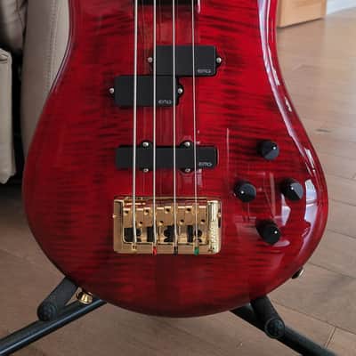 Spector Euro 4LX 2023 - Black Cherry Gloss image 1
