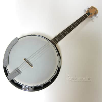 Gold Tone 4-String Irish Tenor Banjo w/ Gig Bag image 1