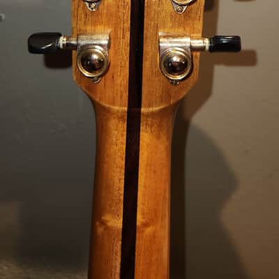 Blueberry Guitar Special Custom Grand Concert Rosewood Acoustic 6 String image 18