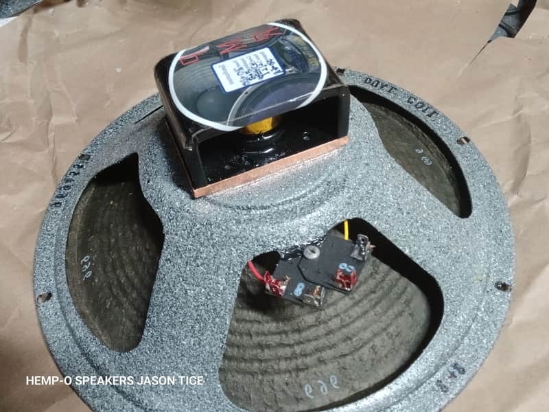 12" ALNICO SPEAKER 4,8, or 16 OHMS IN ONE SPEAKER! DUAL WIDE RANGE VOICE COILS! RIBBED CONE HEMPOPOTAMUS  HEMP FIBER CONE UNIVERSAL IMPEDANCES UNIT PMR SPEAKER image 1
