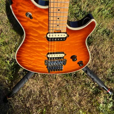 EVH Wolfgang USA 2010 - Tobacco burst image 1