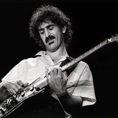 Frank Zappa's Mesa Boogie .50 Caliber Plus Head- image 4