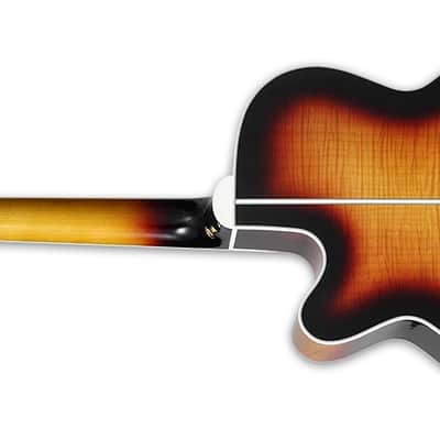Takamine EF450C TT Gloss Brown Sunburst w/ Semi-Hard Case (JTAKEF450CTTBSB) image 3