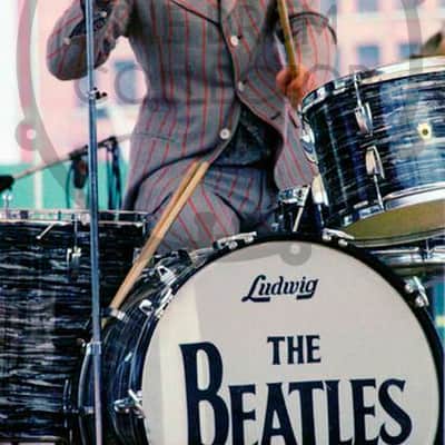 The Beatles 1966 Logo, Repro Adhesive Decal Set for Bass Drum Reso -012- image 2