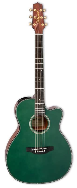 Takamine LTD2025 Gloss Antique Evergreen w/Case image 1