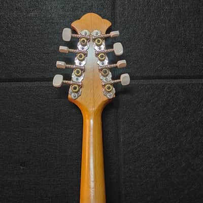 "il sigillo" ( liuteria estudiantina). Piatto 1960 - Natural image 4