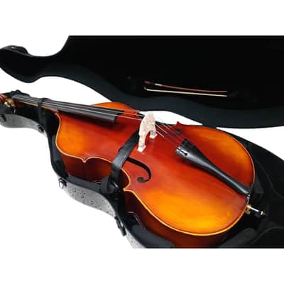Enthral II Poly Carbon Bass Case - Black Polish image 6