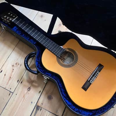 Cordoba 55FCE Thinline Electro Classical Acoustic Guitar Made in Spain 2006 image 24
