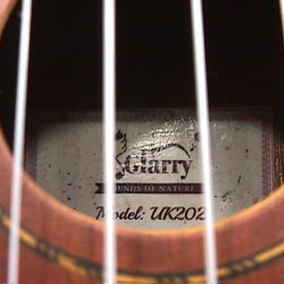 A Solid Wood  Fancy Concert Ukulele in a Case & Ready to Play   3 U image 7