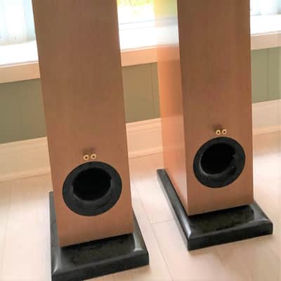 Salk SongTower QWT  Speakers image 2