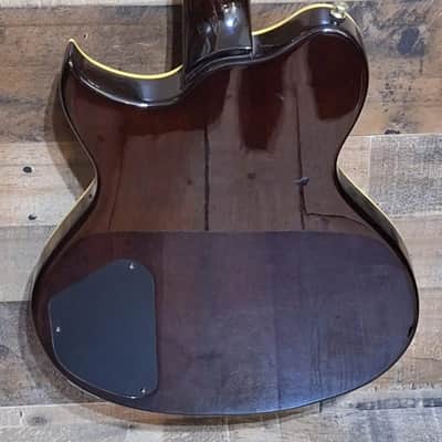 2007 Washburn WI66PROF Idol Professional image 5